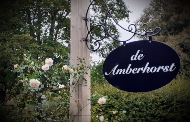 Verblijf 300912 - Vakantiewoning Gelderse vallei - Vakantiehuis in Tonden