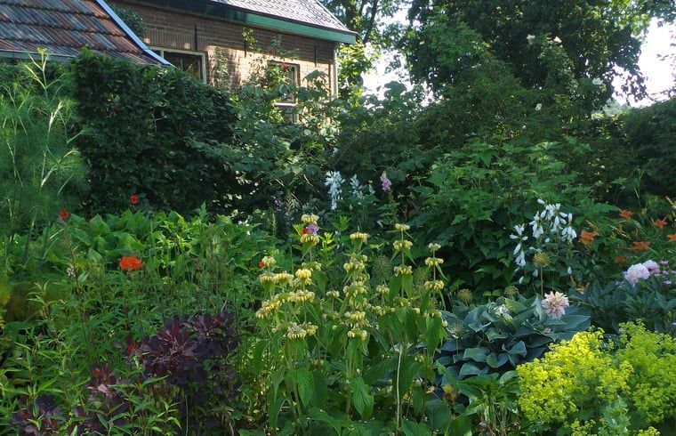 Verblijf 300914 - Vakantiewoning Gelderse vallei - Vakantiehuisje in Tonden