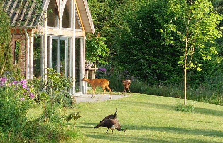 Huisje in Tonden, vakantiehuis in Gelderse vallei, Gelderland, met serene tuin en wilde dieren in natuurlijke omgeving.