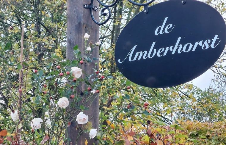 Verblijf 300917 - Vakantiewoning Gelderse vallei - Huisje in Tonden