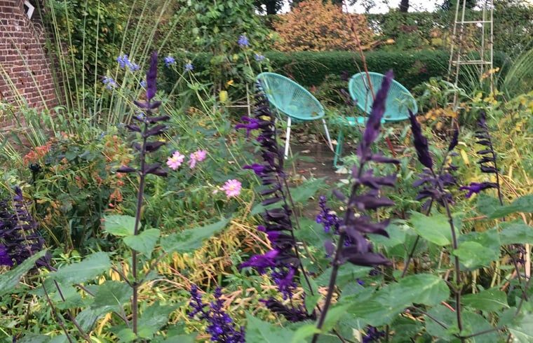 Unterkunft 301201 - Ferienhaus Gelderse vallei - Huisje in Voorstonden Gem. Brummen