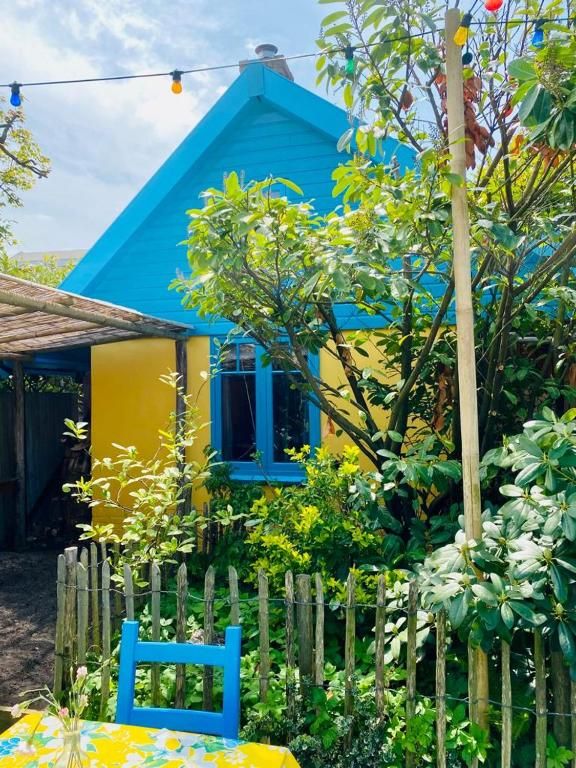 Froehlicher Aussenbereich von In de Aap - Apartments & Guesthouse in Bergen, Nordholland, mit bunter Fassade und gruenem Garten.