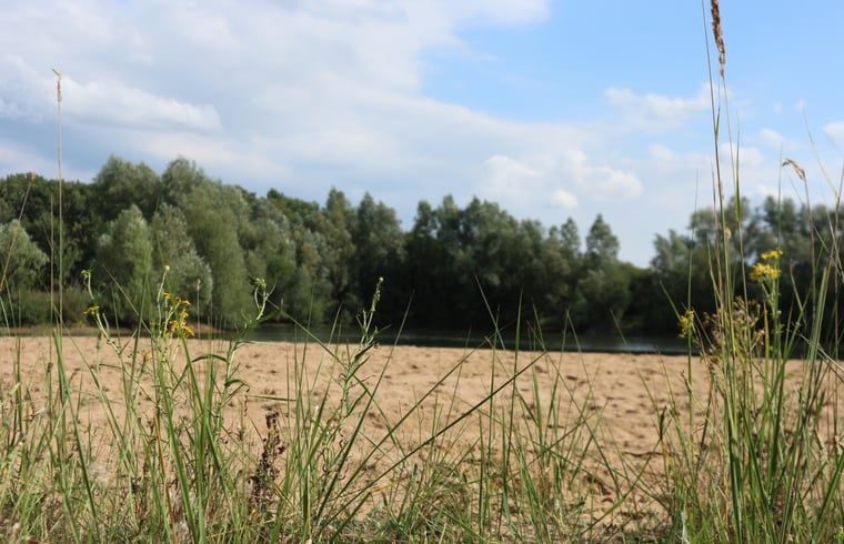 Erholsame Aussicht auf die natuerliche Umgebung von Cottage in Netterden, Ferienhaus in Montferland, Gelderland.