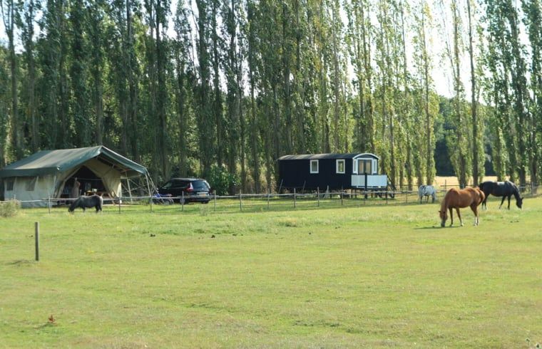 Rustikales Ferienhaus in Netterden, Montferland mit Blick auf gruene Wiesen und Pferde, ideal fuer Naturliebhaber in Gelderland.