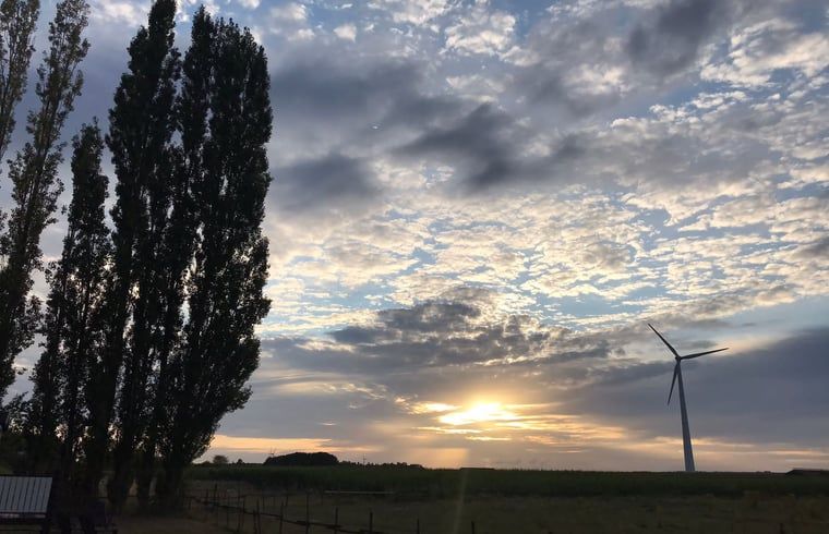 Unterkunft 310105 - Ferienhaus Montferland - Huisje in Netterden