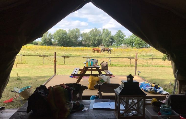 Unterkunft 310105 - Ferienhaus Montferland - Huisje in Netterden