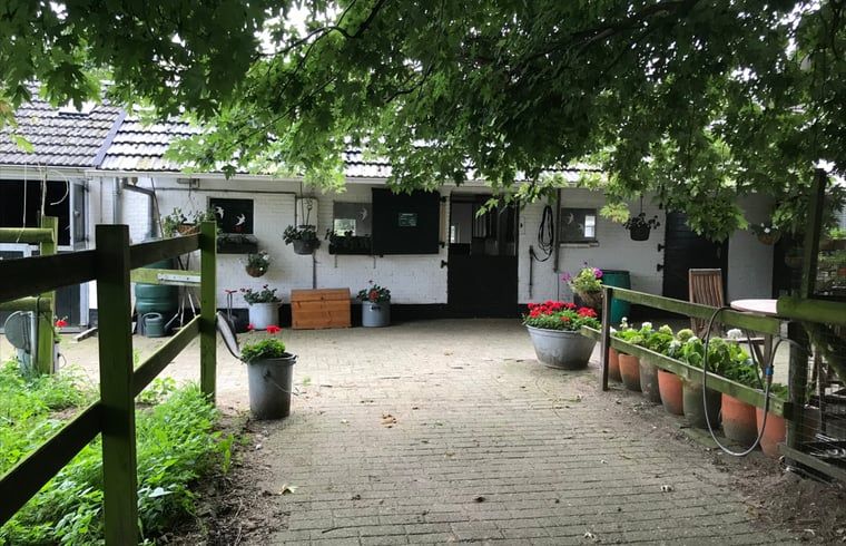 Verblijf 311204 - Vakantiewoning Montferland - Huisje in Beek - Montferland