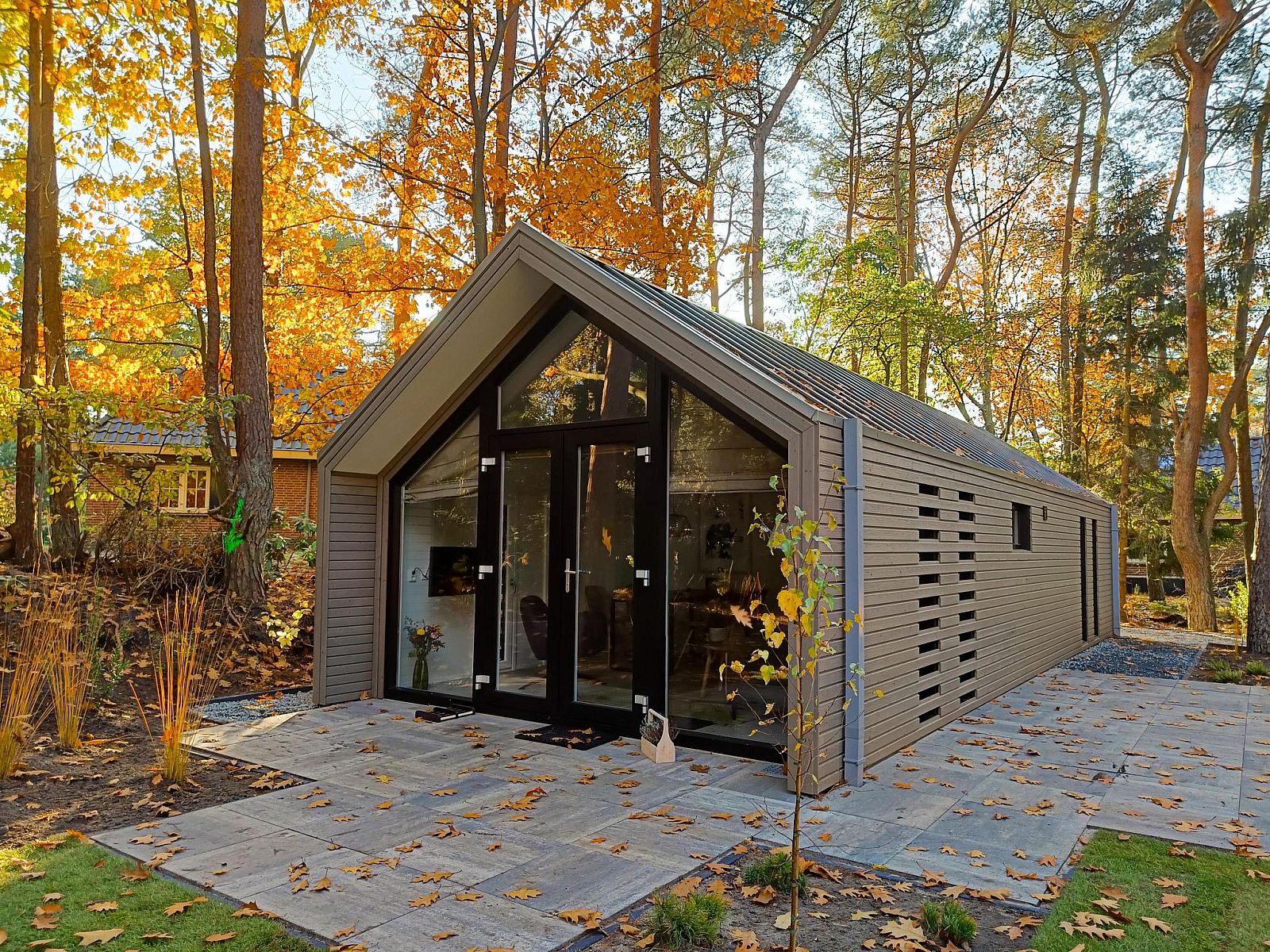 Forest Lodge 4 vakantiehuis in Beekbergen, Veluwe, omgeven door herfstbladeren en serene natuur.