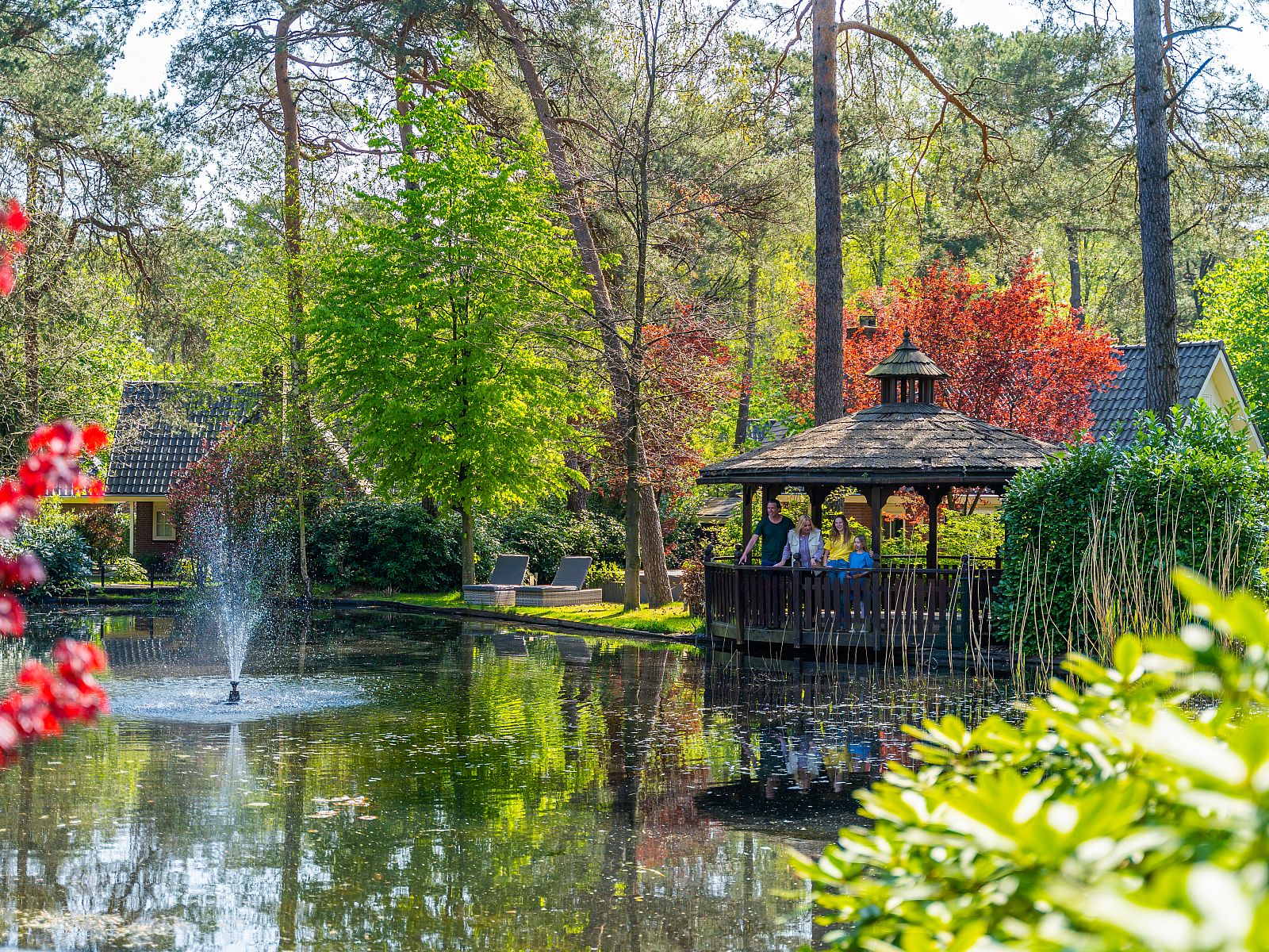 Unterkunft 3201201 - Ferienhaus Veluwe - EuroParcs Beekbergen