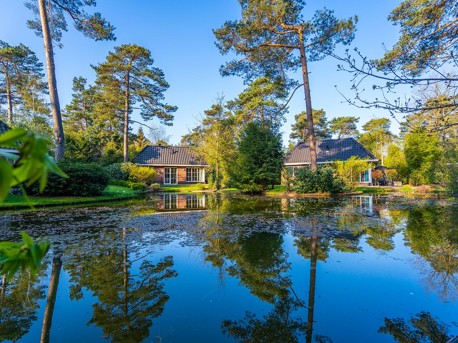 Unterkunft 3201201 - Ferienhaus Veluwe - EuroParcs Beekbergen
