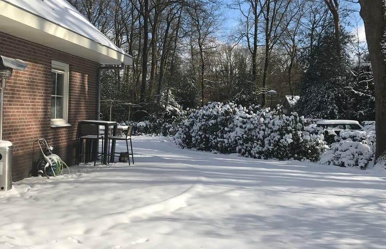 Unterkunft 320122 - Ferienhaus Veluwe - Huisje in Beekbergen