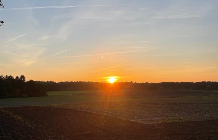 Unterkunft 320122 - Ferienhaus Veluwe - Huisje in Beekbergen