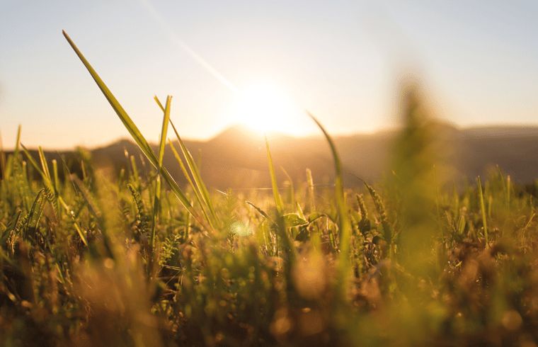 Unterkunft 320122 - Ferienhaus Veluwe - Huisje in Beekbergen