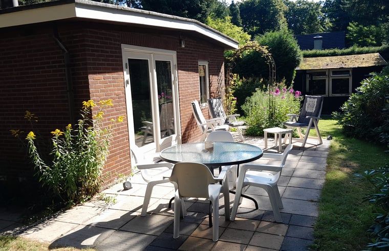 Geniessen Sie den sonnigen Garten und die Terrasse beim Ferienhaus in Beekbergen, einer charmanten Ferienunterkunft in der Region Veluwe in Gelderland.