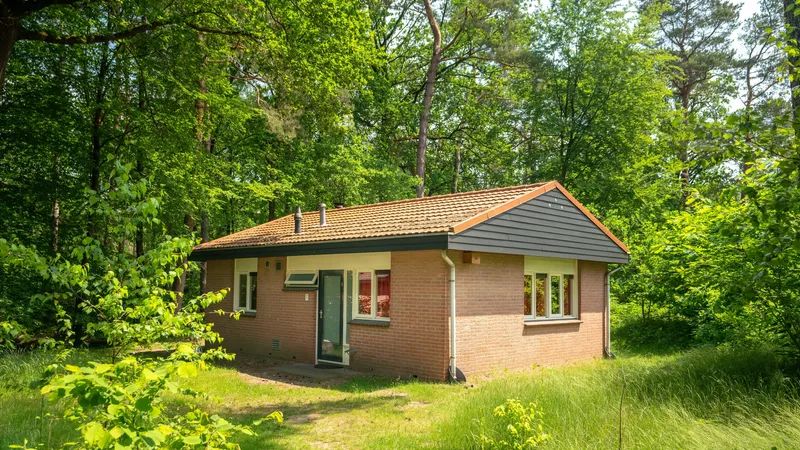 Unterkunft 320178 - Bungalow Veluwe - Heideheuvel | 4-persoons bungalow | 4B