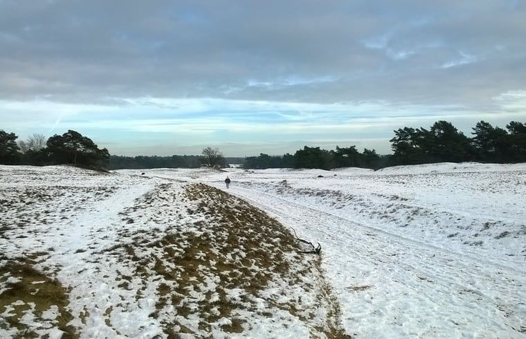 Picture 24