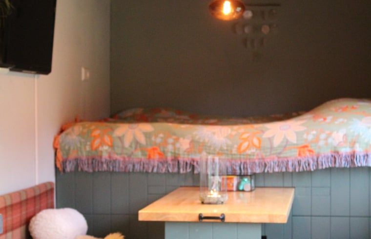 Unterkunft 320506 - Ferienhaus Veluwe - Vakantiehuis in Kootwijk