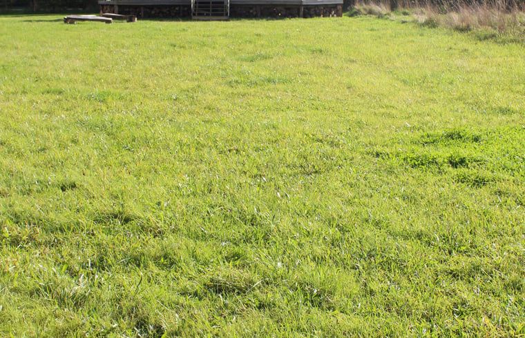 Unterkunft 320506 - Ferienhaus Veluwe - Vakantiehuis in Kootwijk