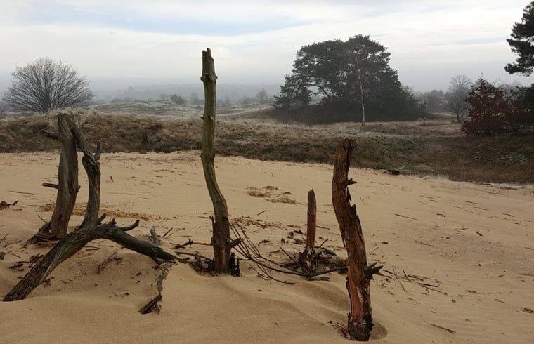 Zandverstuivingen in de omgeving van Huisje in Kootwijk, Veluwe, perfect voor natuurliefhebbers.