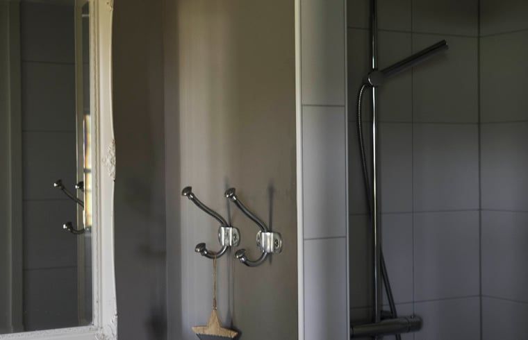 Douche in Huisje in Kootwijk, Veluwe, met moderne afwerking en spiegel.