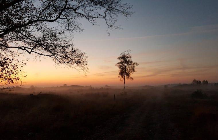 Prachtige zonsopgang bij Huisje in Kootwijk, Veluwe, voor een serene start van de dag.