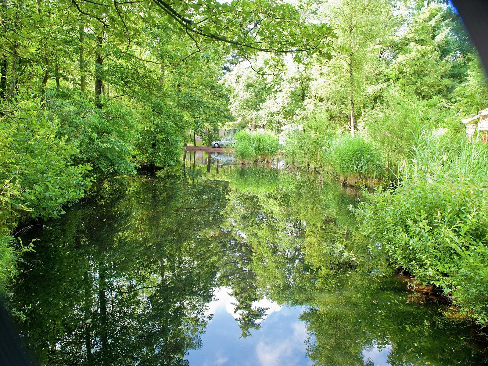 Guest house 320536 - Bungalow Veluwe - Vakantiepark de Berkenhorst 2