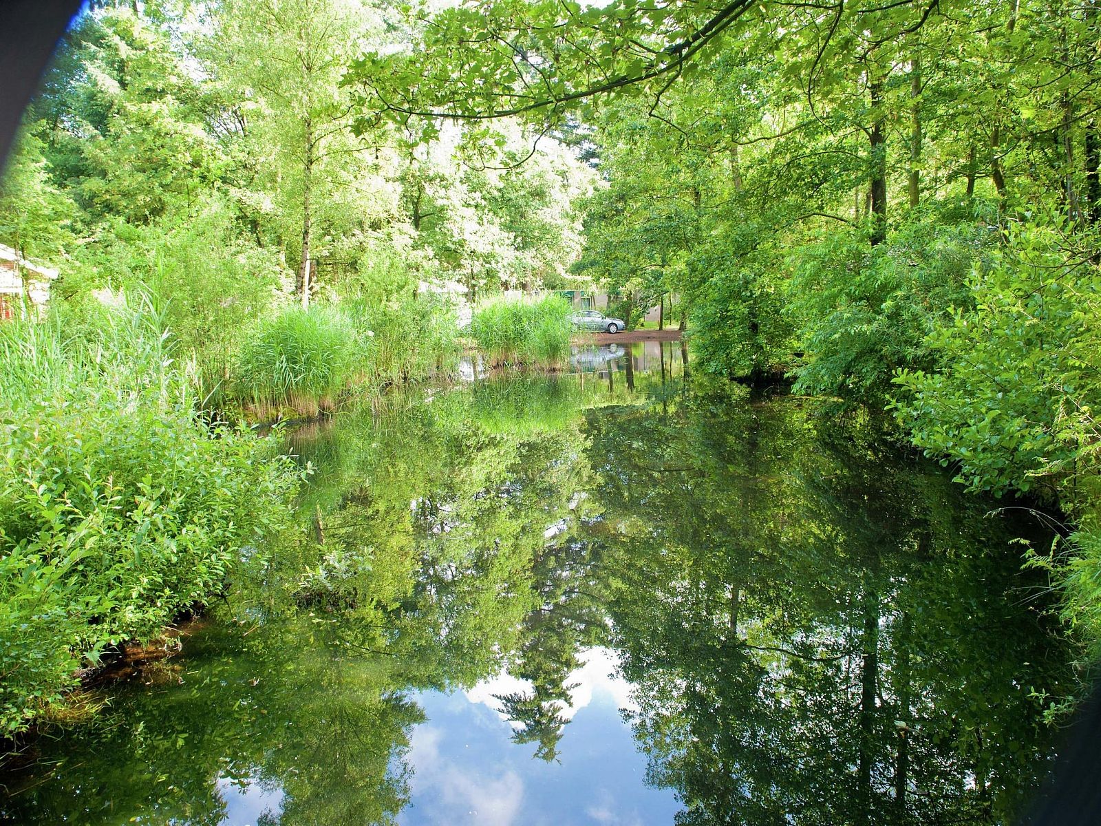 Guest house 320536 - Bungalow Veluwe - Vakantiepark de Berkenhorst 2