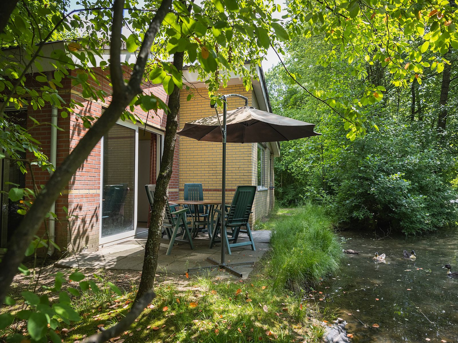 Guest house 320543 - Bungalow Veluwe - Vakantiepark de Berkenhorst 12