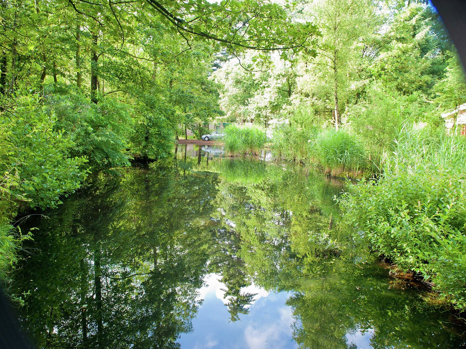 Guest house 320543 - Bungalow Veluwe - Vakantiepark de Berkenhorst 12