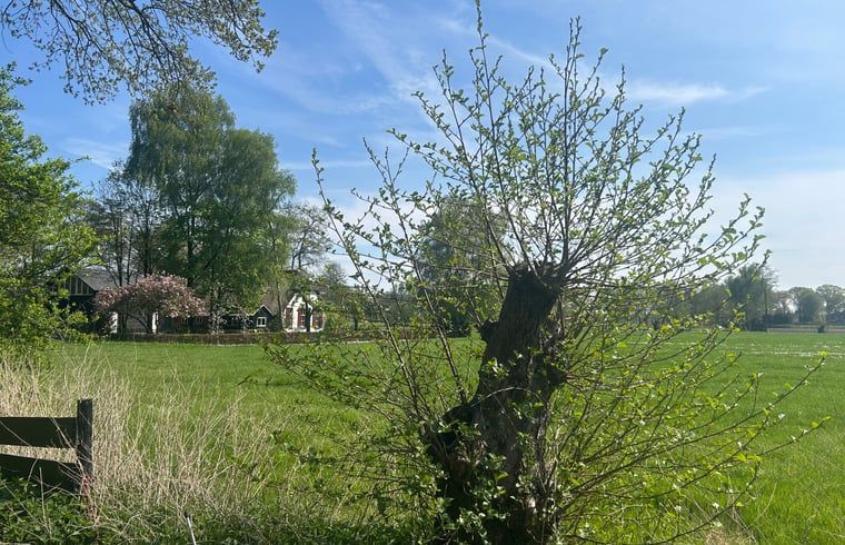 View of nature at Cottage in Ede, vacation accommodation in Veluwe, Gelderland.