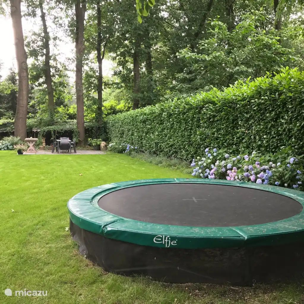 Guest house 3206202 - Holiday property Veluwe - Het Boshuis