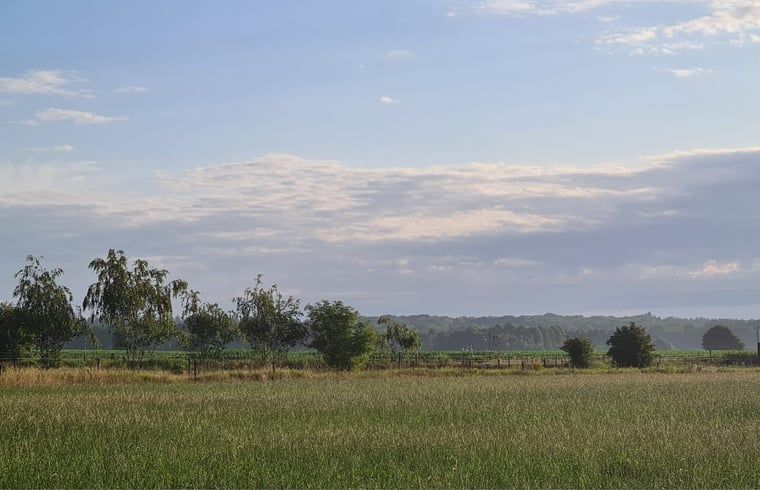 Blick auf gruene Felder beim Ferienhaus in Ede, Veluwe, Gelderland.
