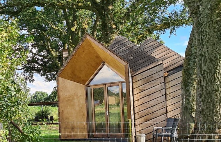 Ferienhaus in Ede, Veluwe, mit rustikaler Holzausstattung und natuerlicher Umgebung.