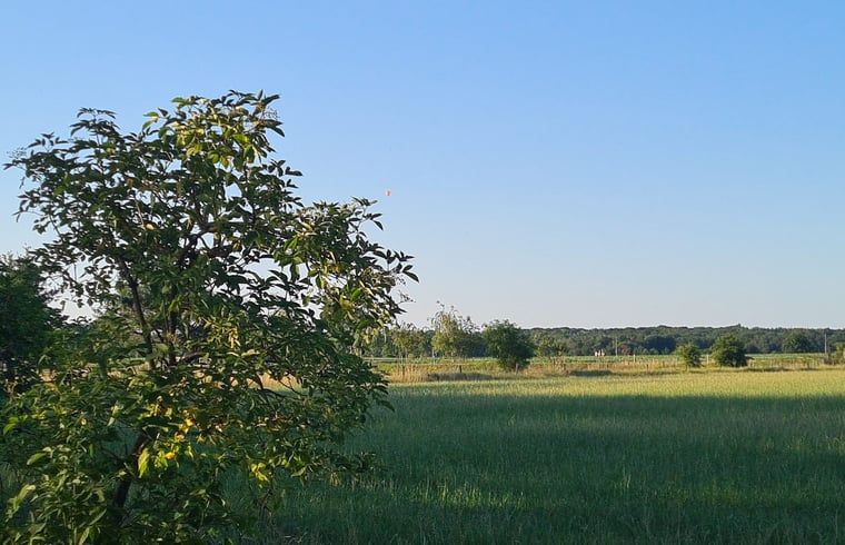 Veluwe Natur Umgebung Ferienhaus in Ede, ideal fuer einen erholsamen Aufenthalt.