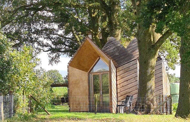 Das Ferienhaus in Ede, Veluwe, bietet eine ruhige Atmosphaere mit umliegenden Baeumen.