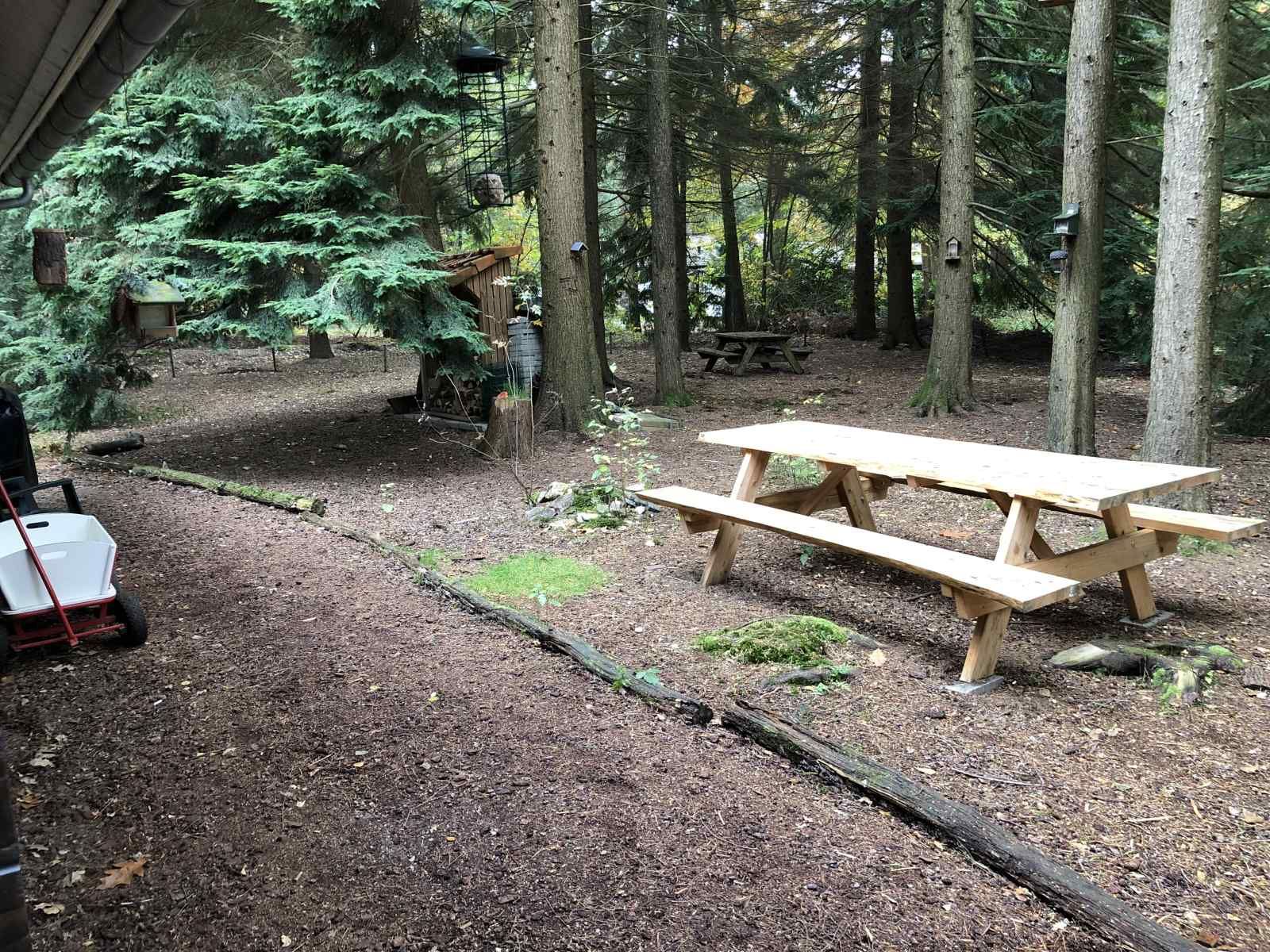 Aussenansicht des Ferienhauses DG1298 in Emst, Veluwe, umgeben von Natur.