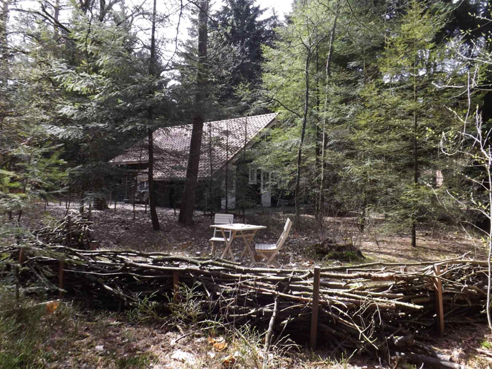 Moderne Kueche im Ferienhaus DG1298, Emst, Veluwe mit Holzinterieur.