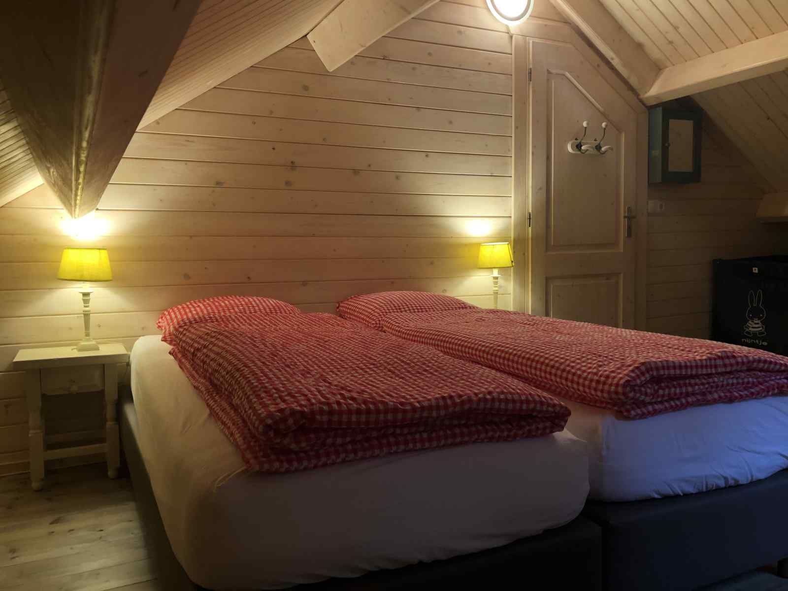 Bewaldetes Gebiet um das Ferienhaus DG1298 in Emst, Veluwe.