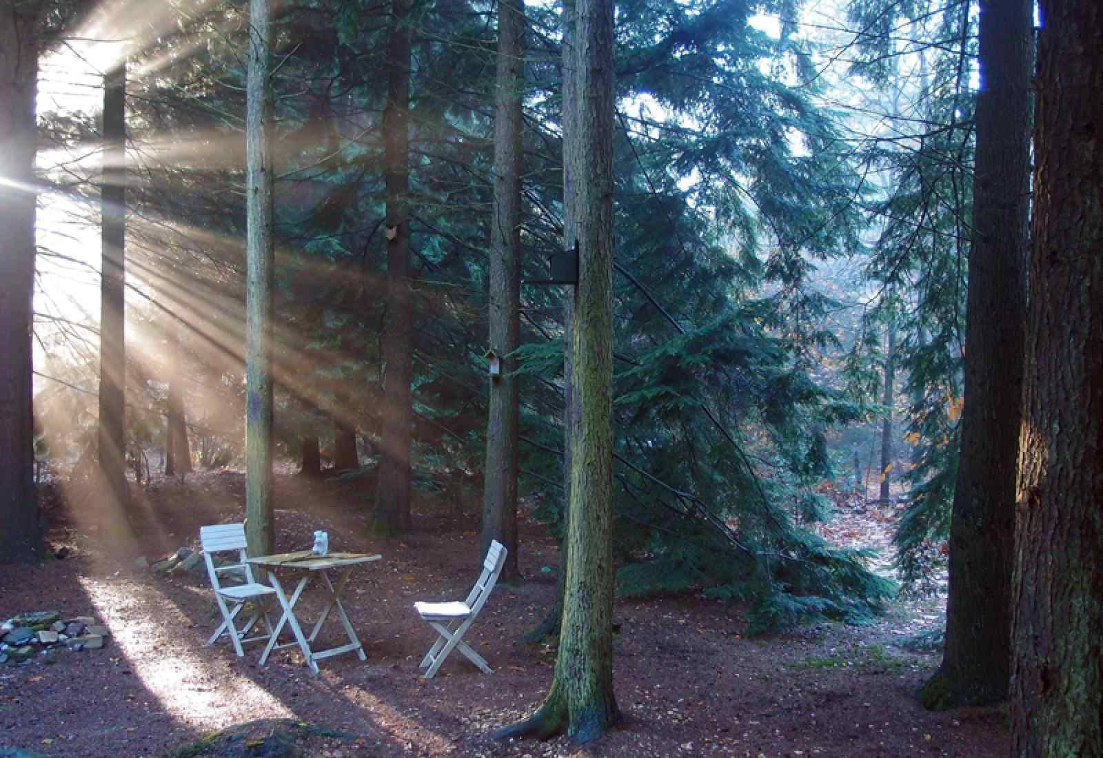 Schoenes Schlafzimmer mit Holzwaenden im Ferienhaus DG1298, Emst, Veluwe.