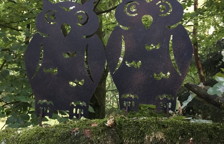 Unterkunft 3208118 - Ferienhaus Veluwe - Huisje in Emst