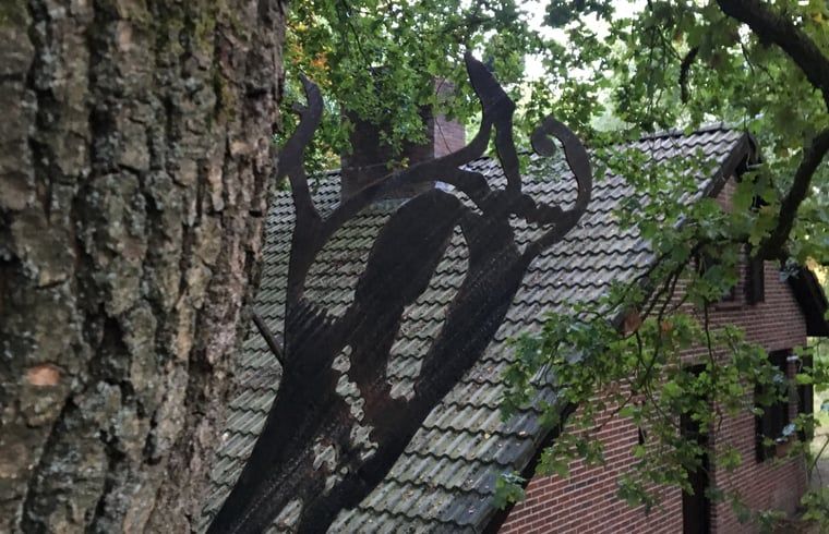 Unterkunft 3208118 - Ferienhaus Veluwe - Huisje in Emst