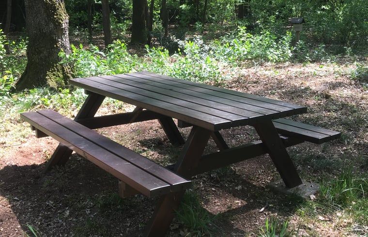 Unterkunft 3208118 - Ferienhaus Veluwe - Huisje in Emst