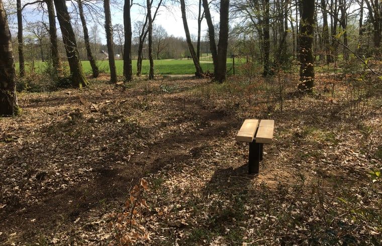 Unterkunft 3208118 - Ferienhaus Veluwe - Huisje in Emst