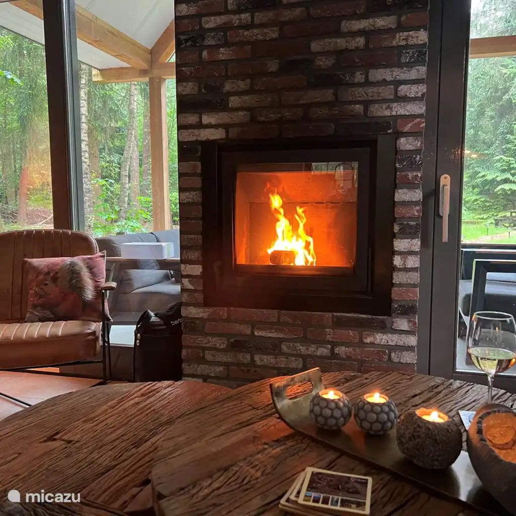 Verblijf 3208120 - Vakantiewoning Veluwe - Boshuis de Merel