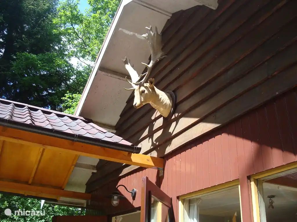 Verblijf 3208121 - Vakantiewoning Veluwe - Winterkoning