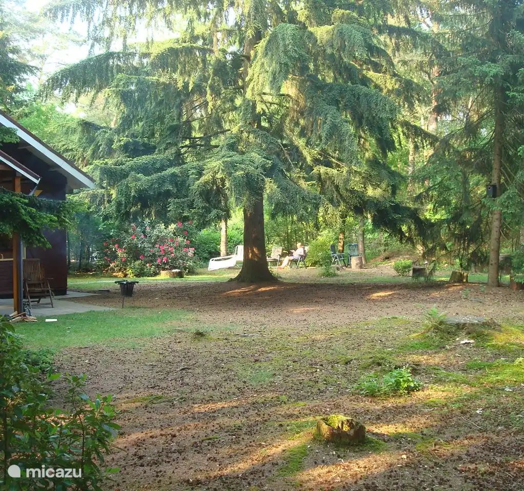Verblijf 3208121 - Vakantiewoning Veluwe - Winterkoning