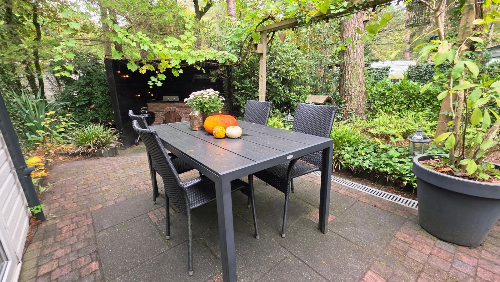 Verblijf 3208124 - Vakantiewoning Veluwe - DG2208