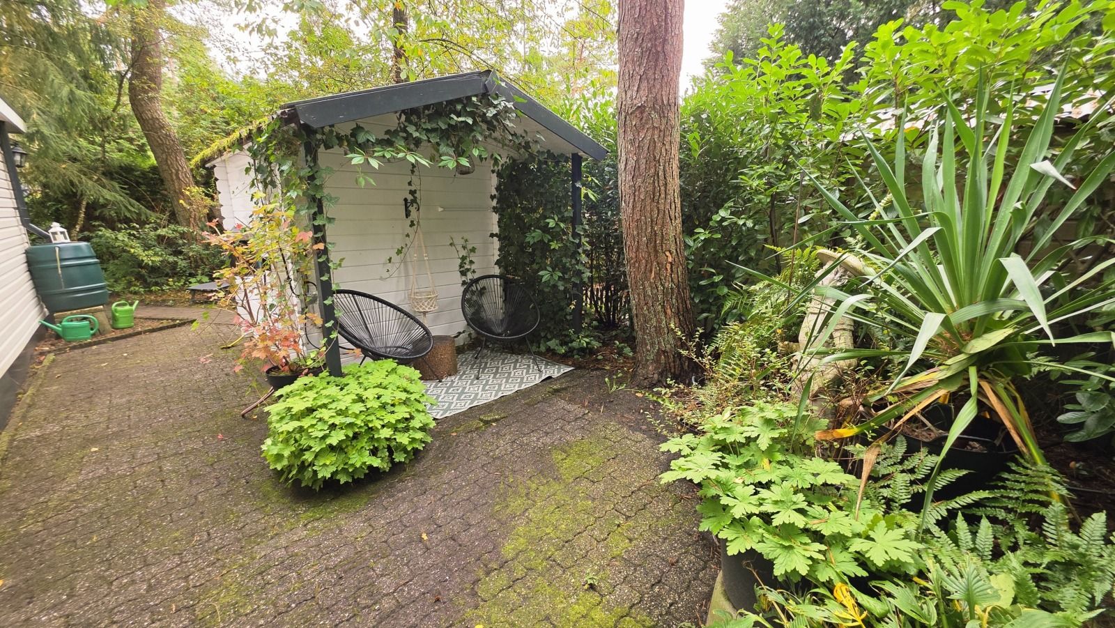 Verblijf 3208124 - Vakantiewoning Veluwe - DG2208