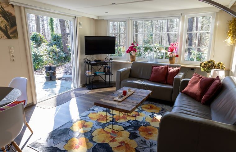 Cozy living room in Holiday Home in Emst, Veluwe, overlooking nature.