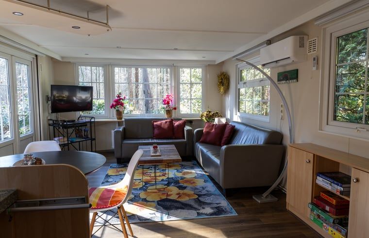 Bright living space in Holiday Home in Emst, Gelderland, with comfortable sofas.